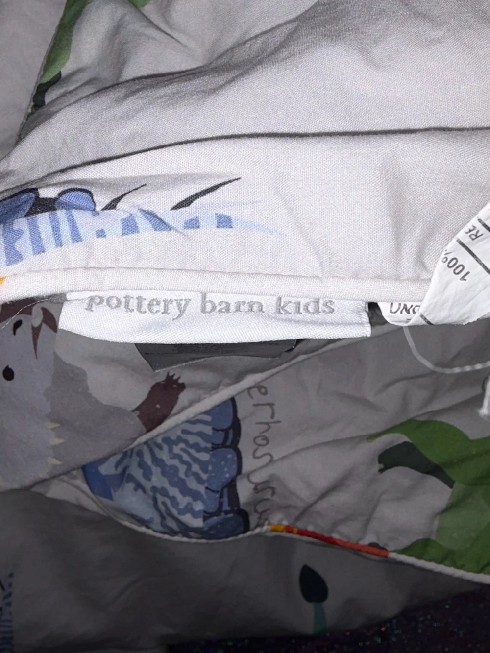 Pottery Barn Dinosaur Comforter